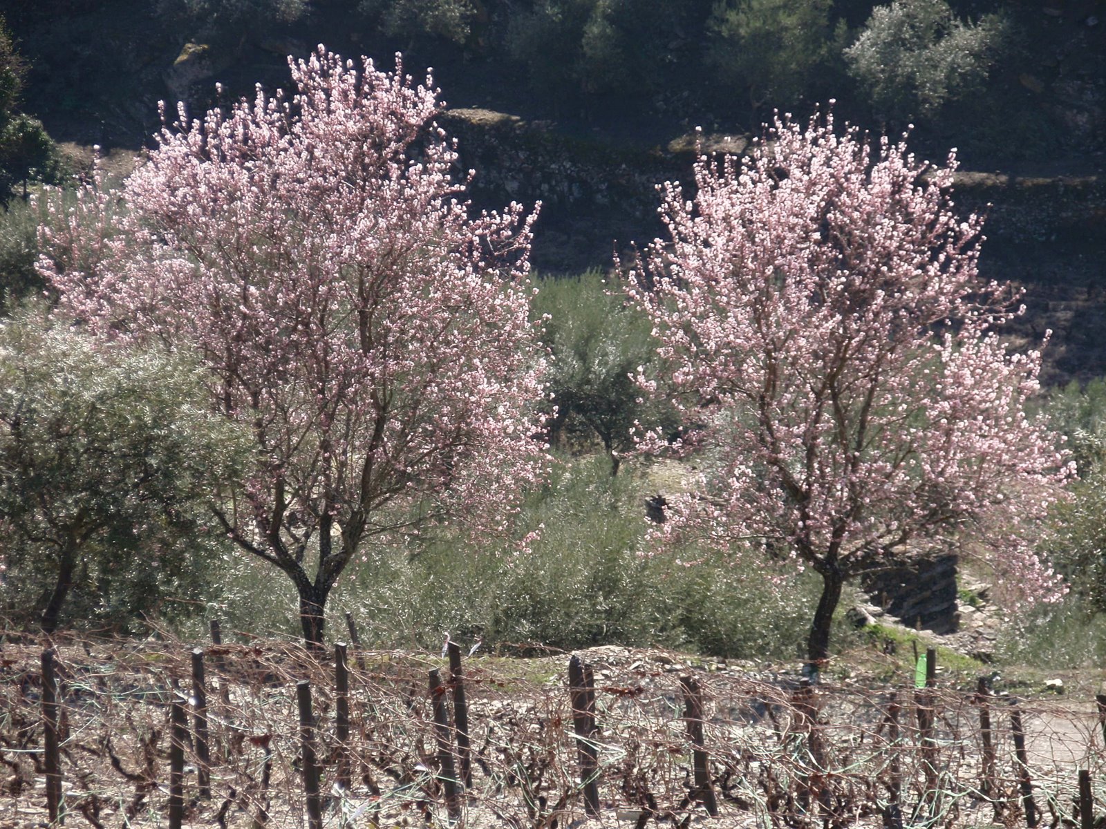 [visitathomascalder+007.JPG]