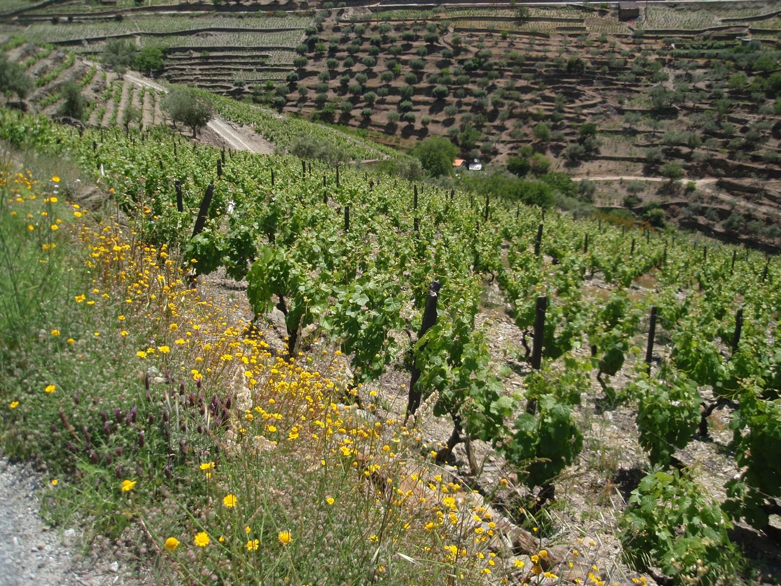 [copenhagen+031.JPG]