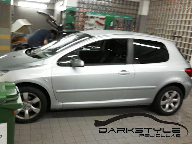 Peugeot 307 20%