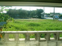 Preconstruction