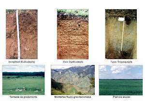 los tipos de suelo!