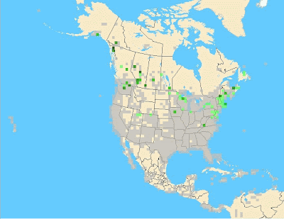 WWCR Distribution - Nov 2007 - Feb 2008
