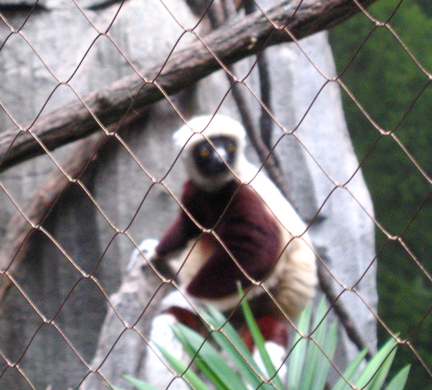[IMG_7471.JPG]