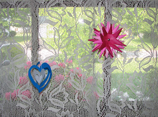 porcupine ball flower