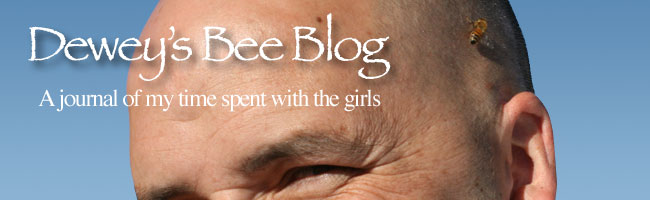 Dewey's Bee Blog