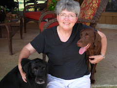 Jay with dogs, William and Coco