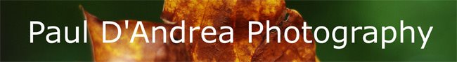 PDAPhotography