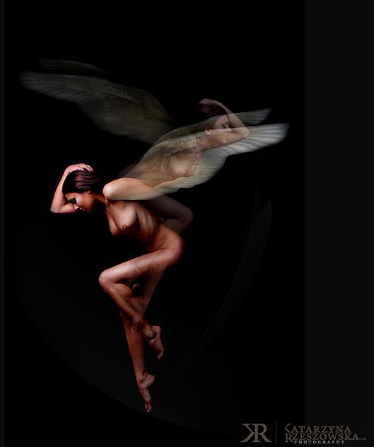 Katarzyna Rzeszowska mulheres asas anjos voando arte