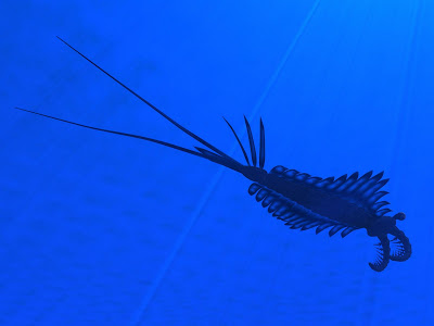 Cambrian Environment