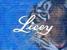 [licey+2.jpg]