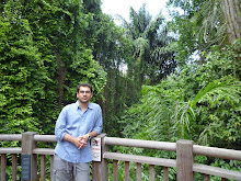 Singapore Zoo