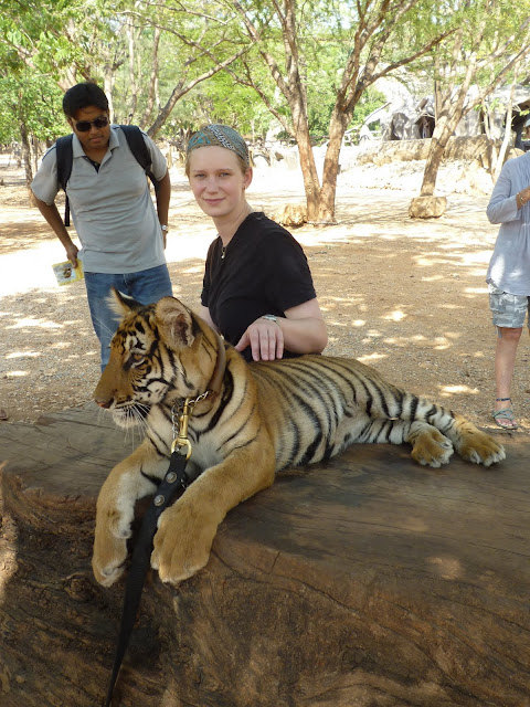 the Tiger Temple.