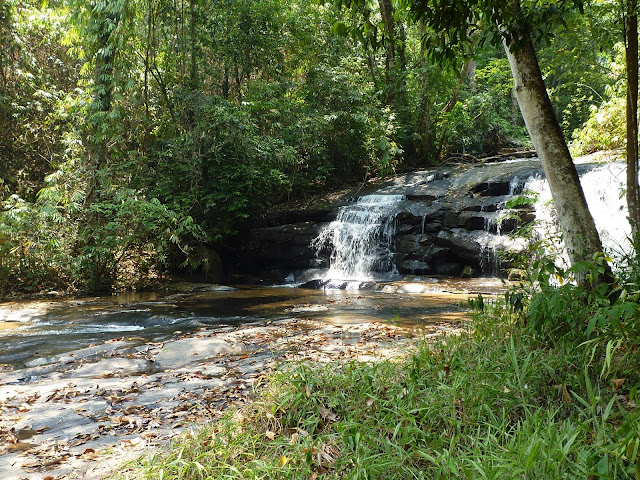 Waterfall in the Jungle