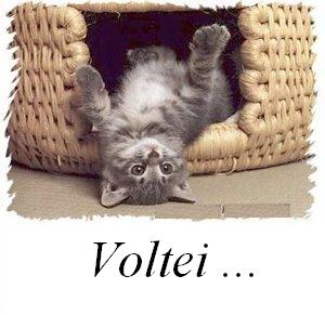 [Voltei.JPG]