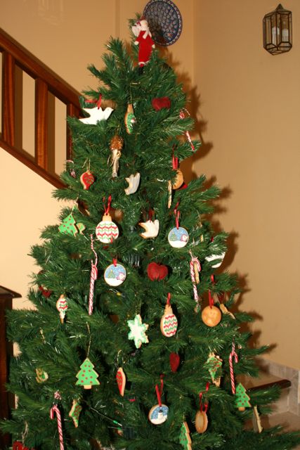 [Arbol.jpg]