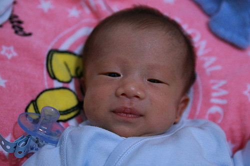 [ap_F23_20081015093311569.jpg]