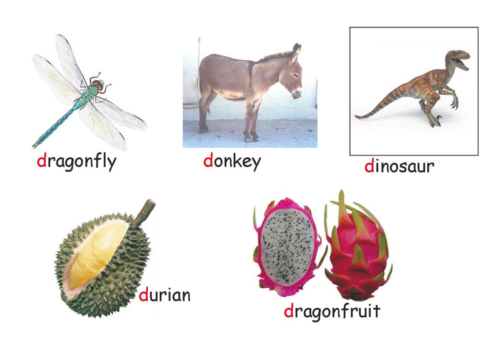 to everything there is a season letter d and homecraft things with letter d