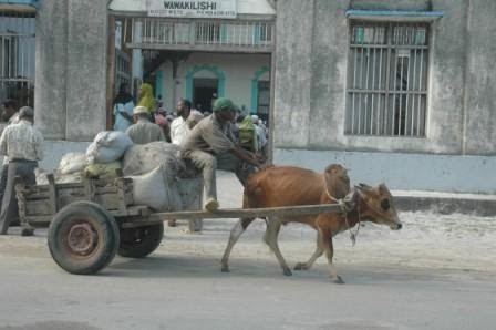 Heri Afe Lakini Mzigo Ufike Zanzinews heri afe lakini mzigo ufike zanzinews