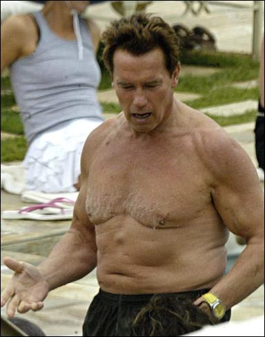 arnold schwarzenegger now fat. Below are the top ten Arnold