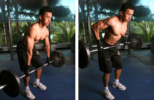Barbell Bent Row