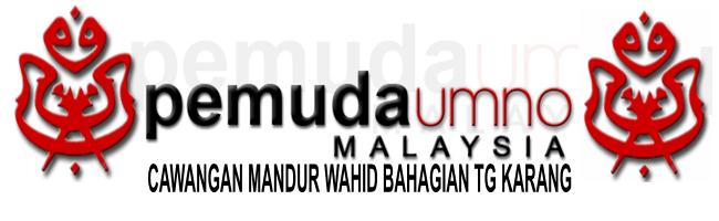 PEMUDA UMNO MANDOR WAHID