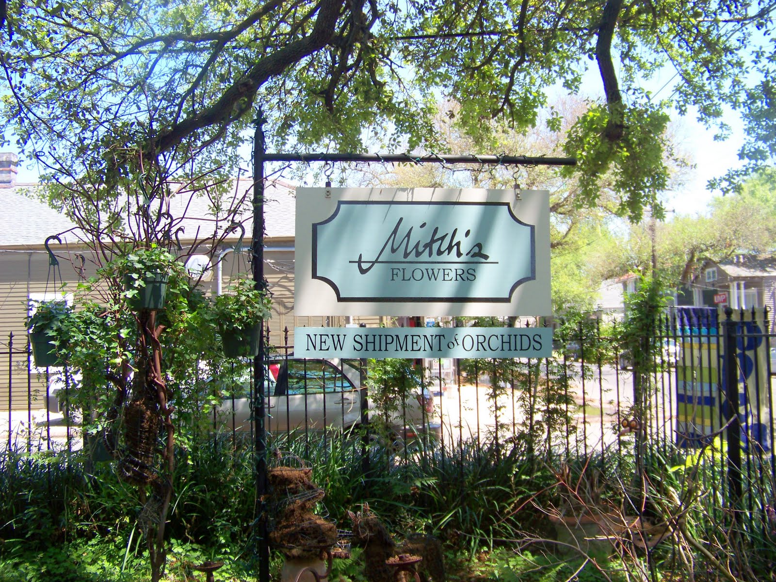 THE INTERNATIONAL FLOWER SPY