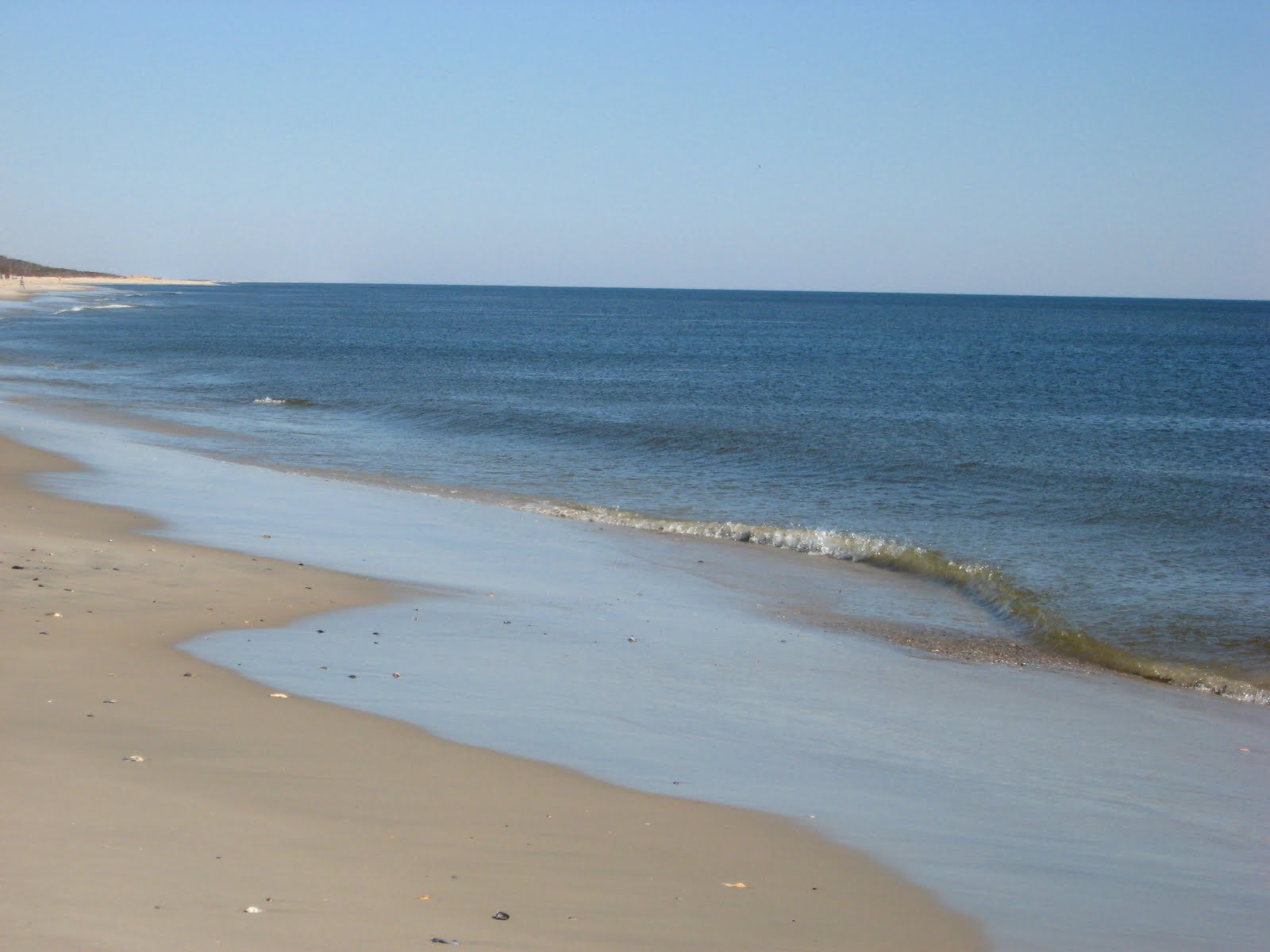 The Public Eye County Officials Support Beach Parking