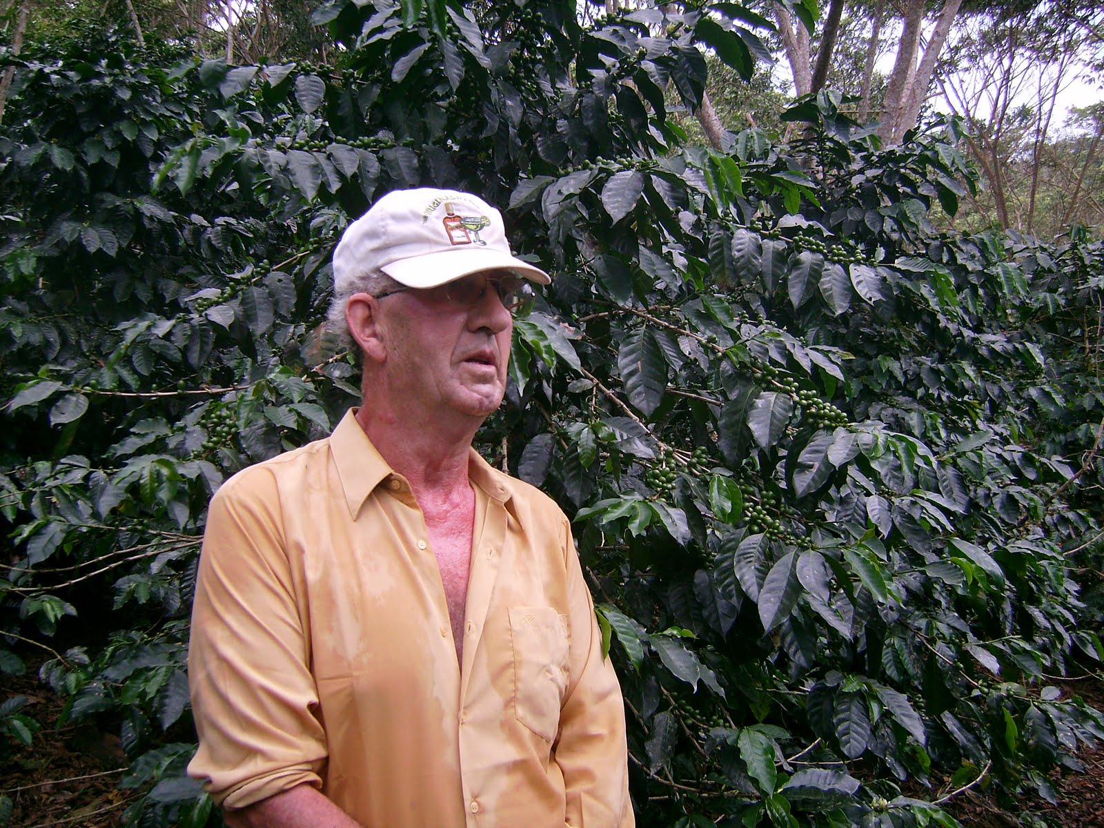 [Imagen+de+Juan+126.jpg]