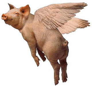 Diseased Pig