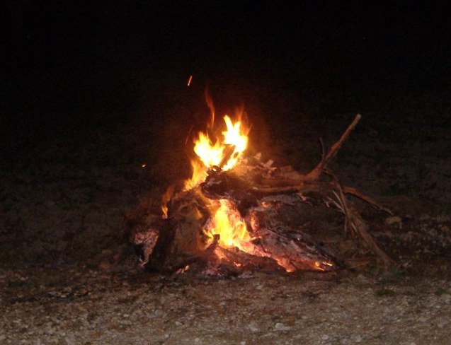[DSCF0120.JPG]