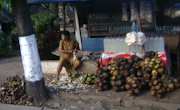 Warung Produk Siwalan