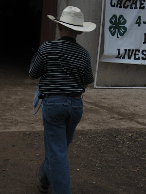 Auctioneers chant, pigs sleep,