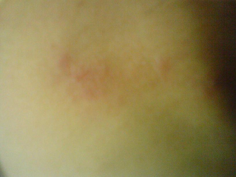 [DSC00065_1.JPG]