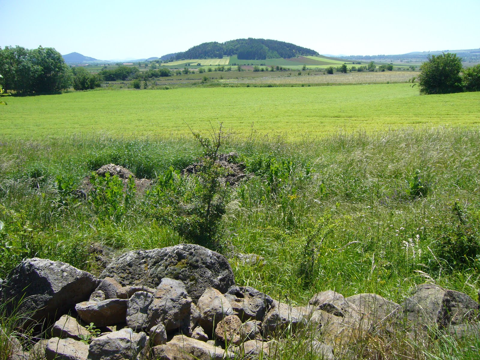 rencontre locale gratuite