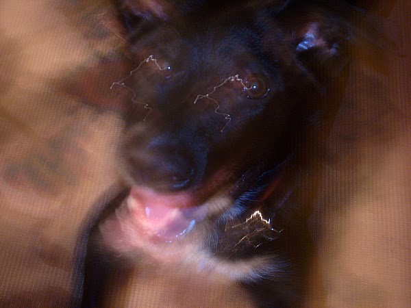 [addy_crazy_eyes_05-30-09_600x450.jpg]