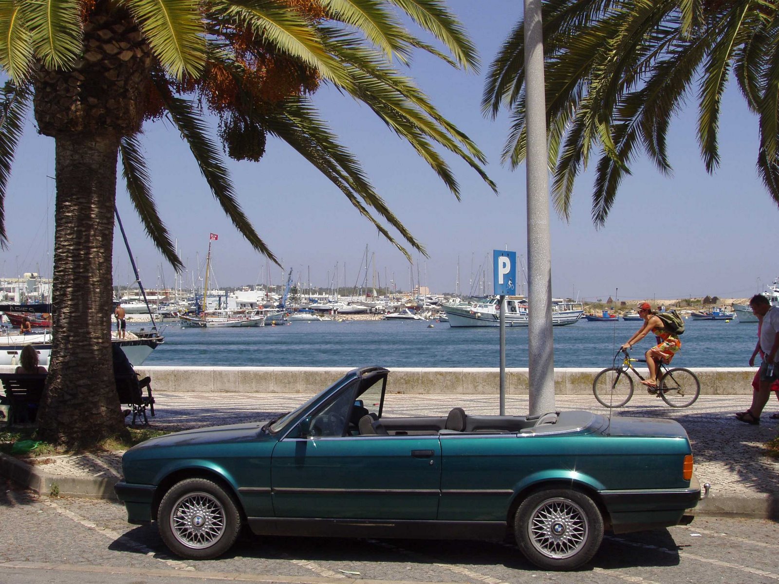 [Tropics.jpg]