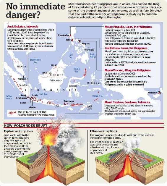 wildsingapore news Ash could darken Singapore skies one day