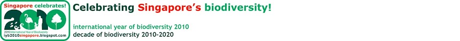 Celebrating Singapore's BioDiversity!