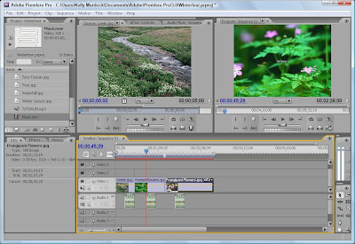 Adobe Premiere Pro Portable Torrent Adobe Premiere Pro Portable Torrent