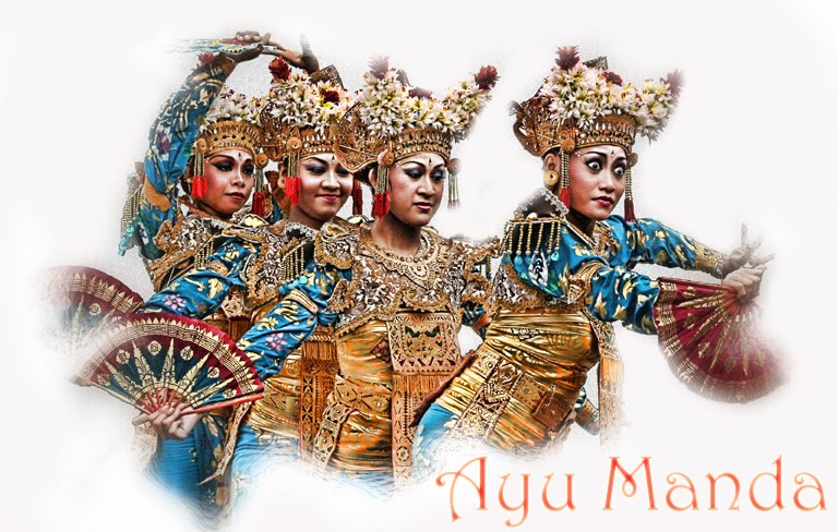 sebuah novel