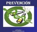 Vista previa