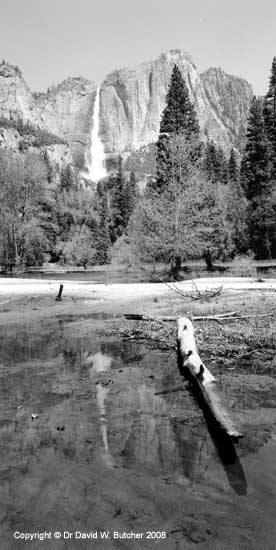 [yosemiteupperfallsleidigmeadow365309.jpg]