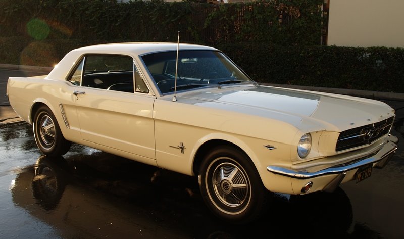 [Mustang.jpg]