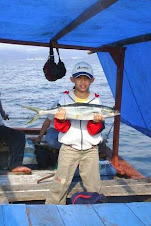 Salem Laut (Kingfish)