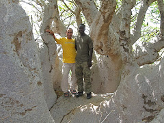 Abdoulaye and I in a Baobab