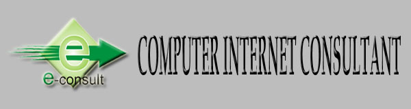 COMPUTER AND INTERNET CONSULTANT