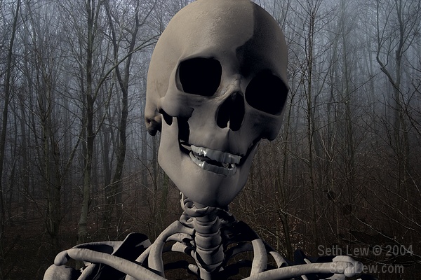 [skeleton in forest_std.jpe]