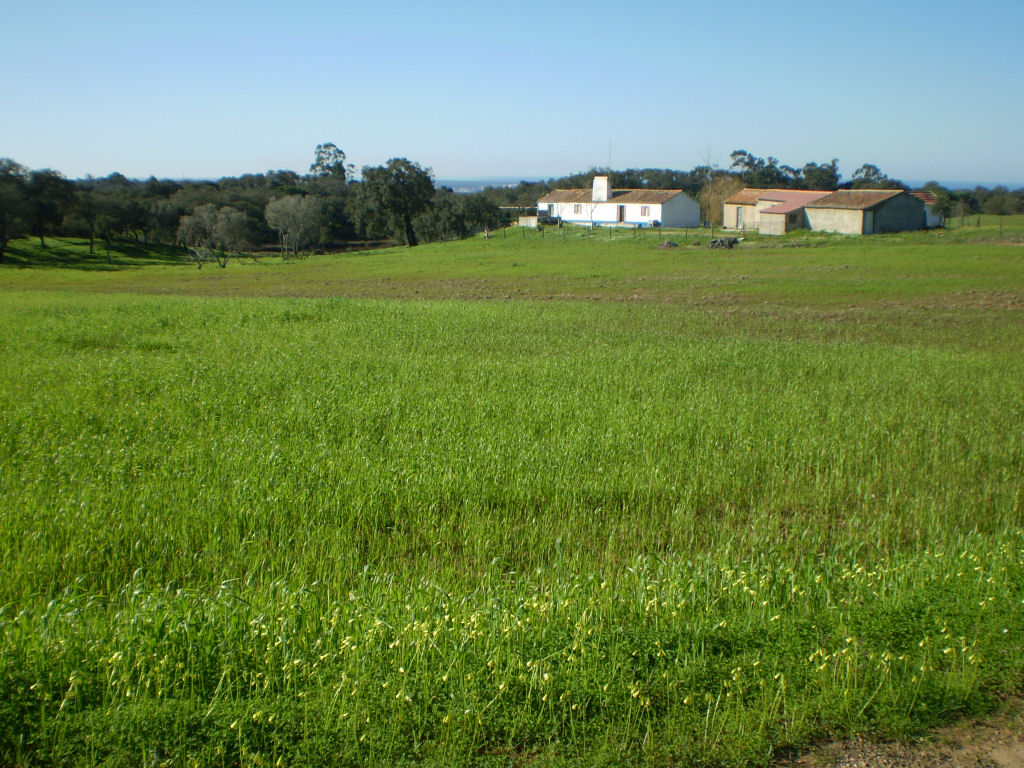 [P1280757.jpg]