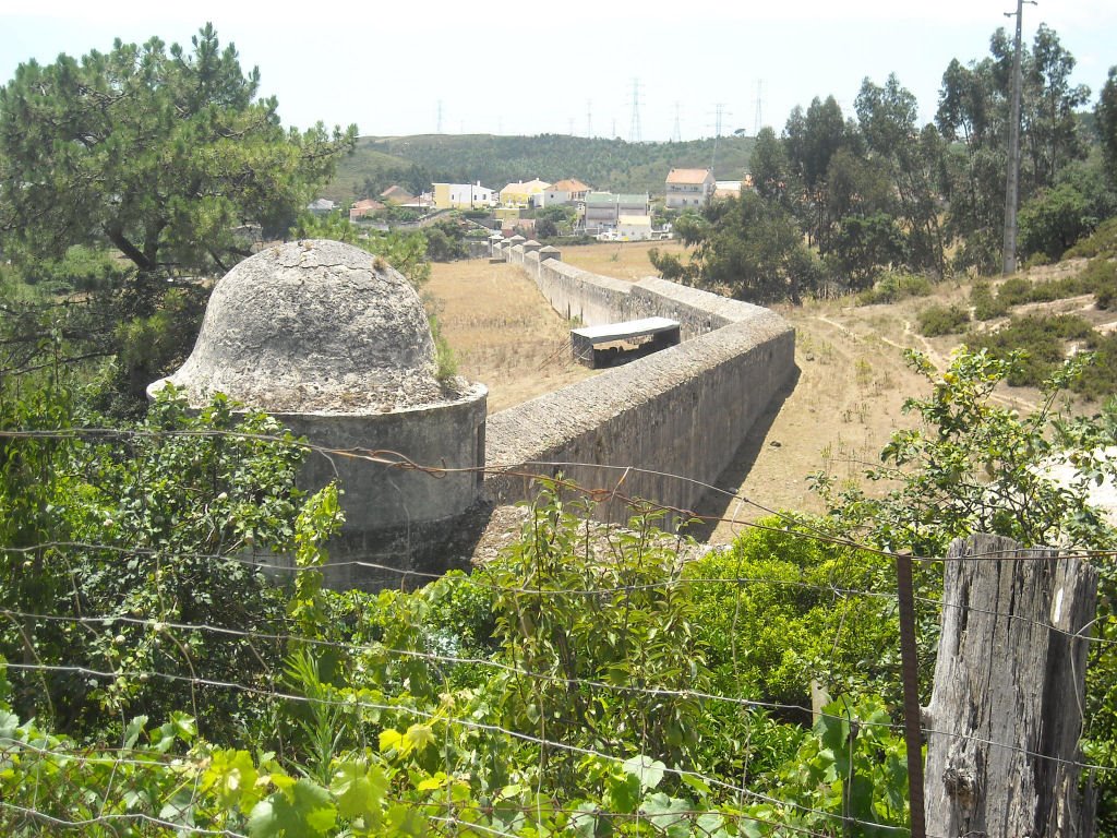 [DSCN1545.jpg]