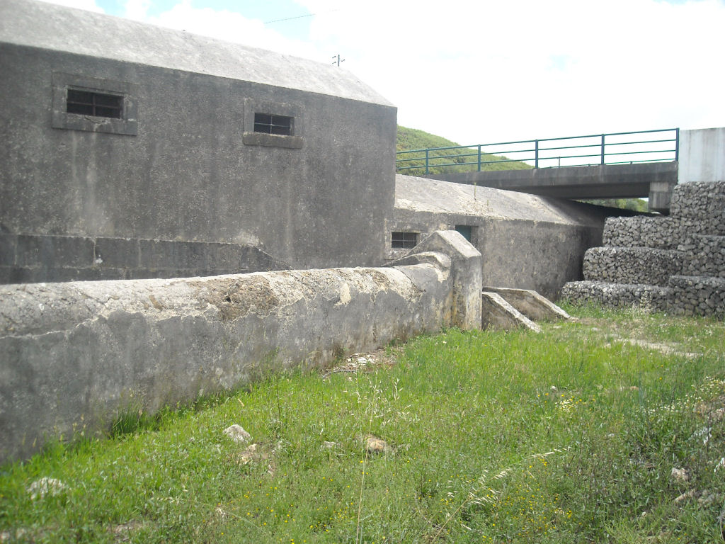 [DSCN1529.jpg]